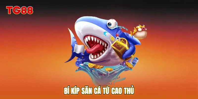 Bí kíp săn cá từ cao thủ