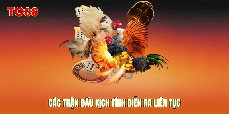 Các trận đấu kịch tính diễn ra liên tục